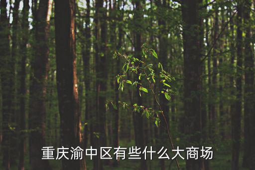 重慶渝中區(qū)有些什么大商場