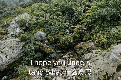 I hope you understand what 什么意思
