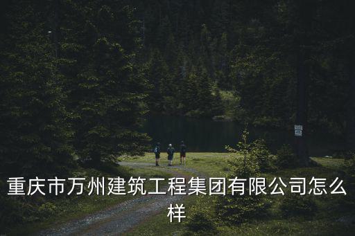 重慶市萬州區至海裝飾工程有限公司，萬州幾大建筑公司排名