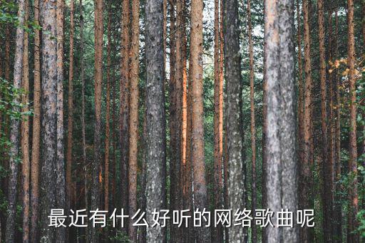 最新網絡流行歌曲，最新的網絡歌曲