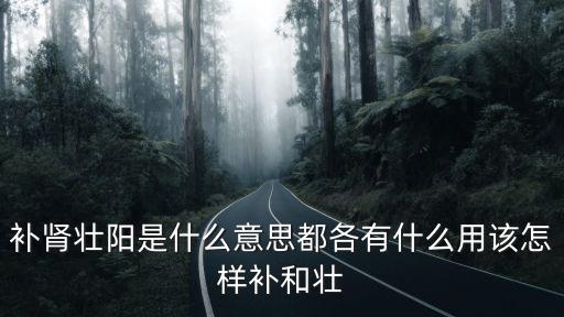 補腎壯陽是什么意思都各有什么用該怎樣補和壯
