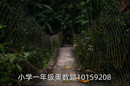 小學(xué)一年級(jí)奧數(shù)題10159208