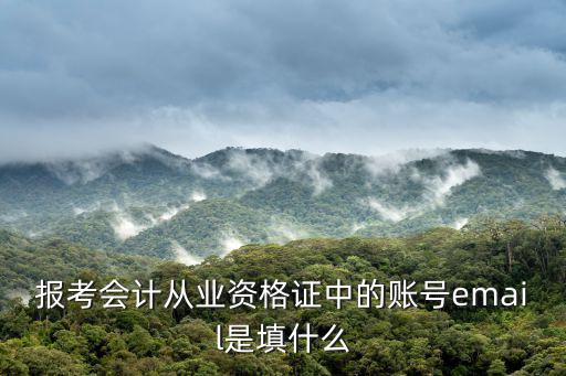 報(bào)考會(huì)計(jì)從業(yè)資格證中的賬號(hào)email是填什么