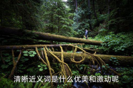 清晰近義詞是什么優美和激動呢
