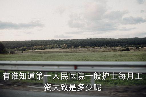 有誰知道第一人民醫院一般護士每月工資大致是多少呢