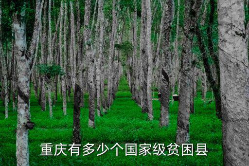 重慶有多少個國家級貧困縣