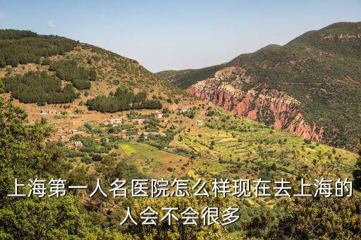 上海第一人名醫院怎么樣現在去上海的人會不會很多