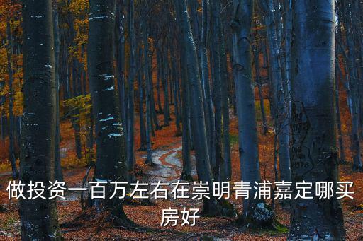 做投資一百萬左右在崇明青浦嘉定哪買房好