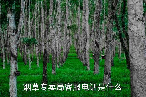 煙草專賣局客服電話是什么