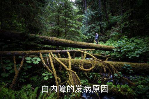 白內障的發病原因，白內障形成的原因有哪些