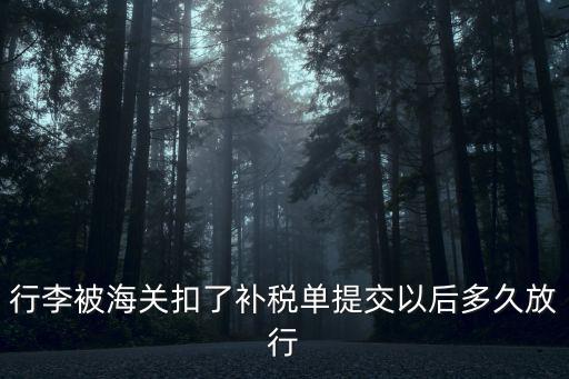 行李被海關扣了補稅單提交以后多久放行