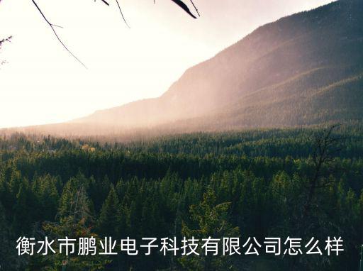衡水市鵬業(yè)電子科技有限公司怎么樣