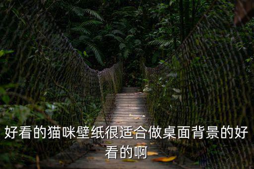 好看的貓咪壁紙很適合做桌面背景的好看的啊
