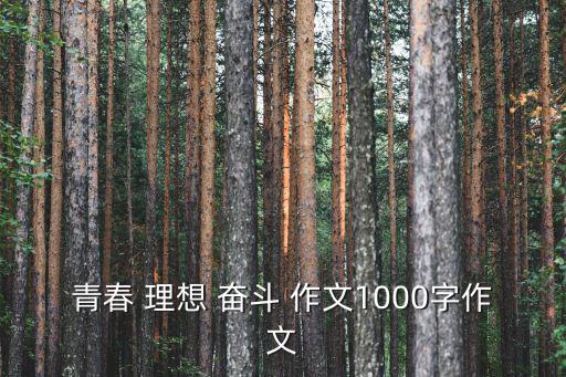 青春 理想 奮斗 作文1000字作文