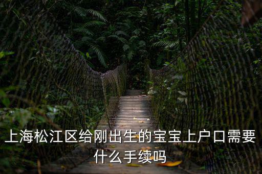 上海松江區給剛出生的寶寶上戶口需要什么手續嗎