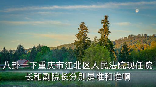 八卦一下重慶市江北區人民法院現任院長和副院長分別是誰和誰啊