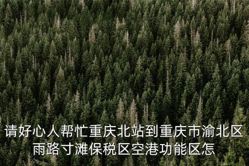 請好心人幫忙重慶北站到重慶市渝北區雨路寸灘保稅區空港功能區怎