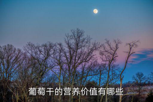 葡萄干的營養價值有哪些