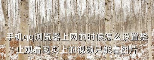 手機qq瀏覽器上網的時候怎么設置禁止觀看網頁上的視頻只能看圖片