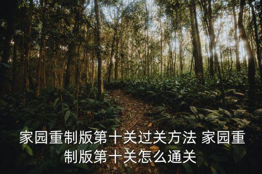  家園重制版第十關過關方法 家園重制版第十關怎么通關