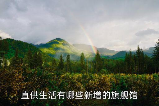 招商成果 重慶市2017，重慶有什么招商的好項目嗎