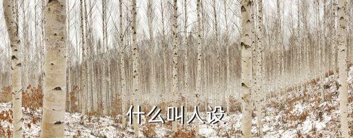 什么叫人設