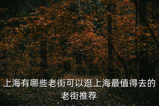 上海有哪些老街可以逛上海最值得去的老街推薦