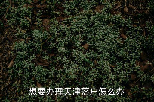 想要辦理天津落戶怎么辦