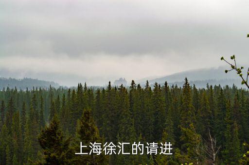 歷任徐匯區(qū)區(qū)長，20062009年是誰擔認徐匯區(qū)區(qū)長