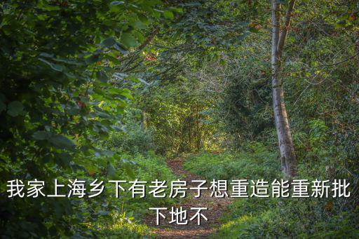 我家上海鄉下有老房子想重造能重新批下地不