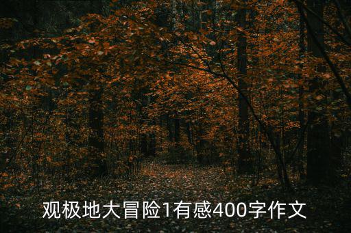 觀極地大冒險1有感400字作文