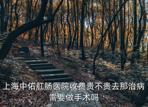 上海中佑肛腸醫院收費貴不貴去那治病需要做手術嗎