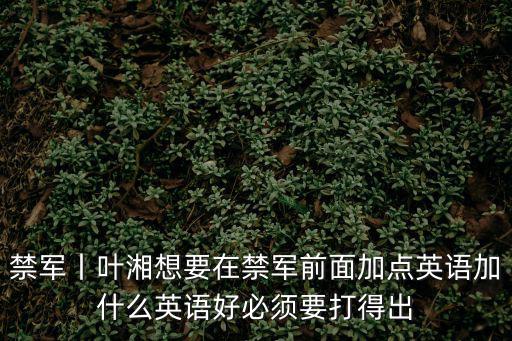 葉湘，禁軍丨葉湘想要在禁軍前面加點英語加什么英語好必須要打得出