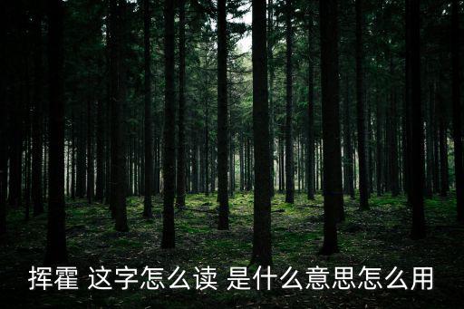 揮霍 這字怎么讀 是什么意思怎么用