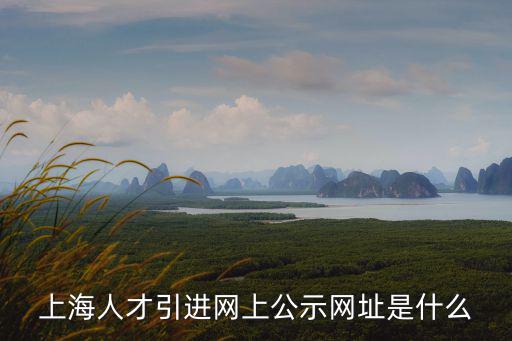 上海人才引進網上公示網址是什么