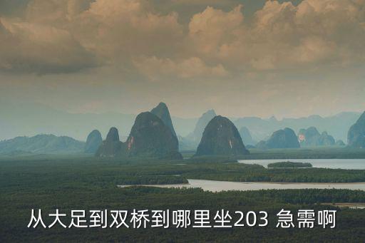 從大足到雙橋到哪里坐203 急需啊