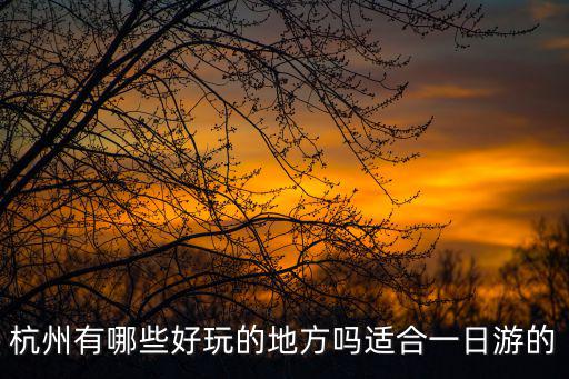杭州有哪些好玩的地方嗎適合一日游的