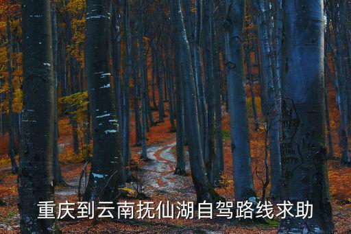 重慶到云南撫仙湖自駕路線求助
