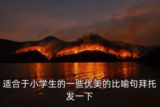適合于小學生的一些優美的比喻句拜托發一下