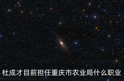 杜成才目前擔任重慶市農業局什么職業
