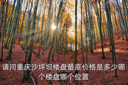 重慶市沙坪壩區諾丁陽光房價，請問重慶沙坪壩樓盤最底價格是多少哪個樓盤哪個位置