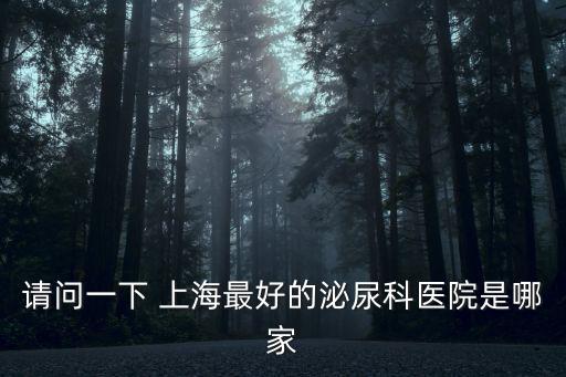 請問一下 上海最好的泌尿科醫院是哪家