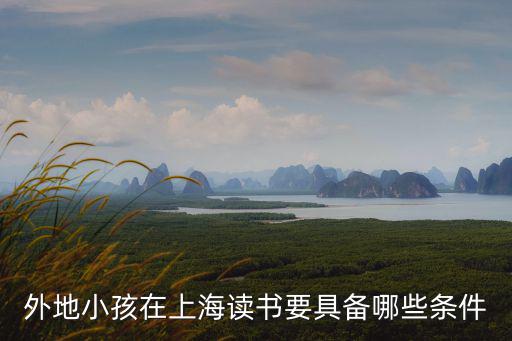 外地小孩在上海讀書要具備哪些條件