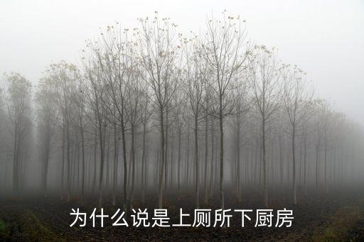 為什么說是上廁所下廚房