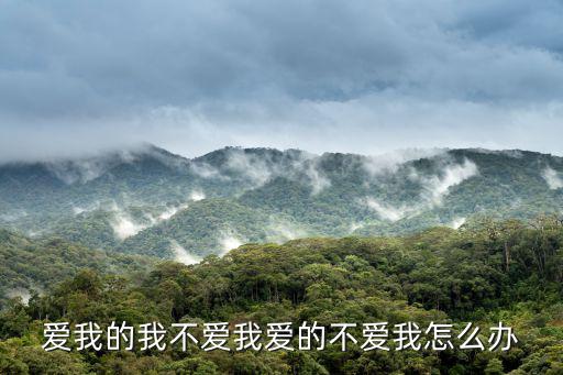 不愛我的我不愛，我愛的不愛我 愛我的我不愛 什么歌