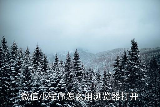 微信小程序怎么用瀏覽器打開
