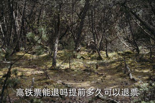 高鐵票能退嗎，高鐵能退票嗎