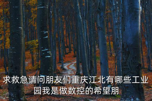 求救急請問朋友們重慶江北有哪些工業園我是做數控的希望朋
