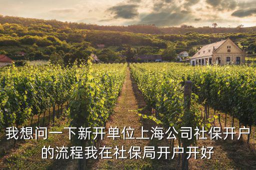 我想問一下新開單位上海公司社保開戶的流程我在社保局開戶開好