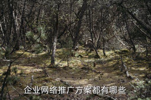 企業(yè)網(wǎng)絡(luò)推廣方案都有哪些